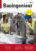 Bauingenieur Cover